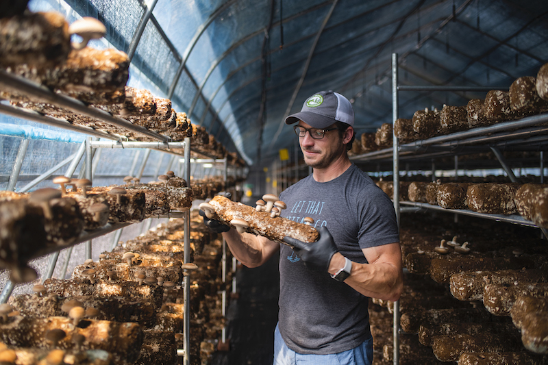 Ellijay Mushrooms 2023 Small Business ROCK STAR Department
